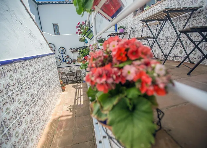 Διαμέρισμα Buddhalounge Ρόντα