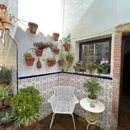 Buddhalounge Apartment *