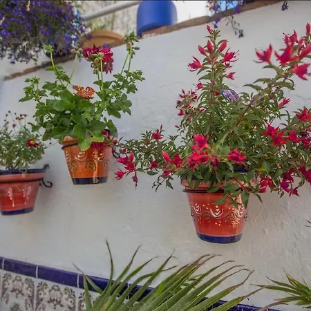 Apartment Buddhalounge