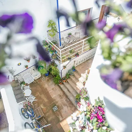 Apartment Buddhalounge *