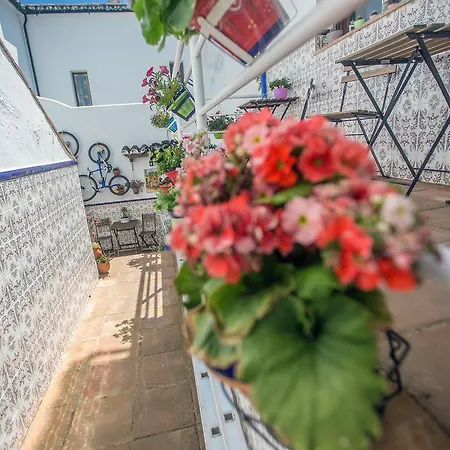 Apartment Buddhalounge Ronda