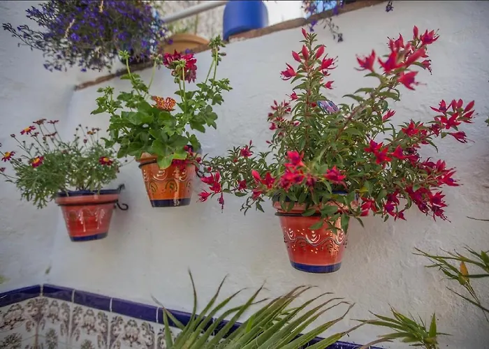 דירה Buddhalounge